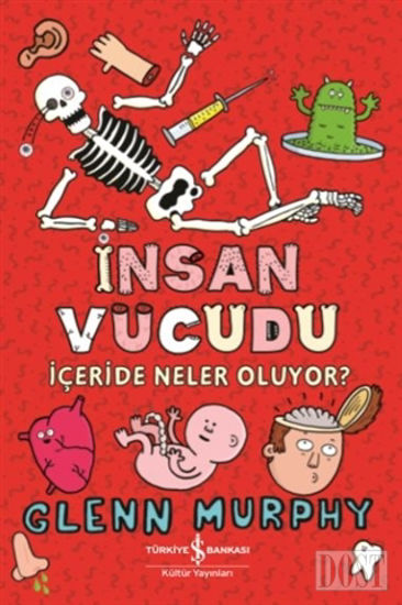 İnsan Vücudu